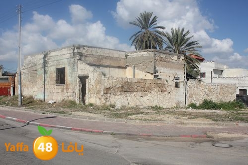 kaniswa7akhadra2 (2).JPG